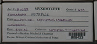 Image Associated With the Occurence